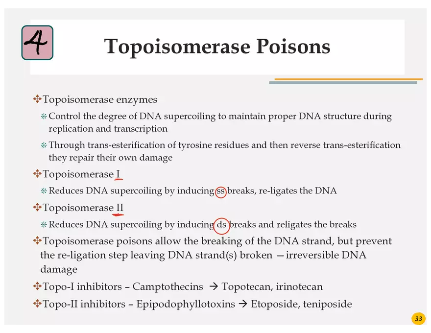 Colorectal Cancers Study Presentation - Page 23