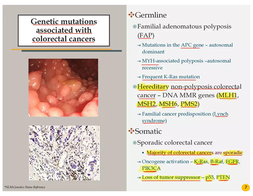 Colorectal Cancers Study Presentation - Page 24