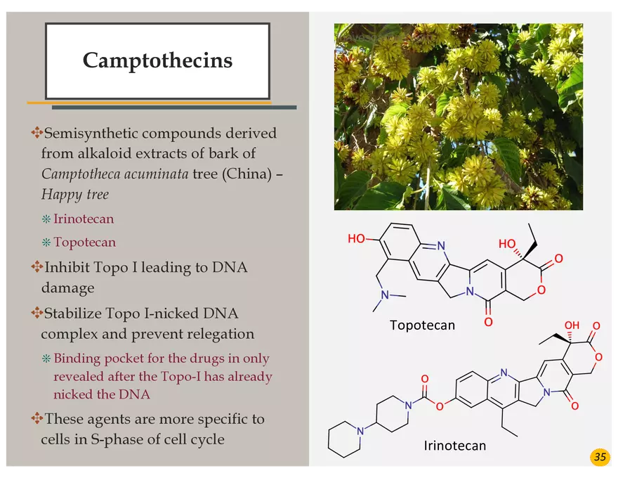 Colorectal Cancers Study Presentation - Page 26