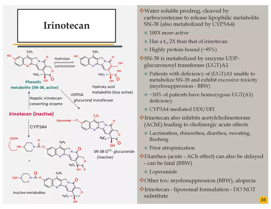 Colorectal Cancers Study Presentation - Page 27