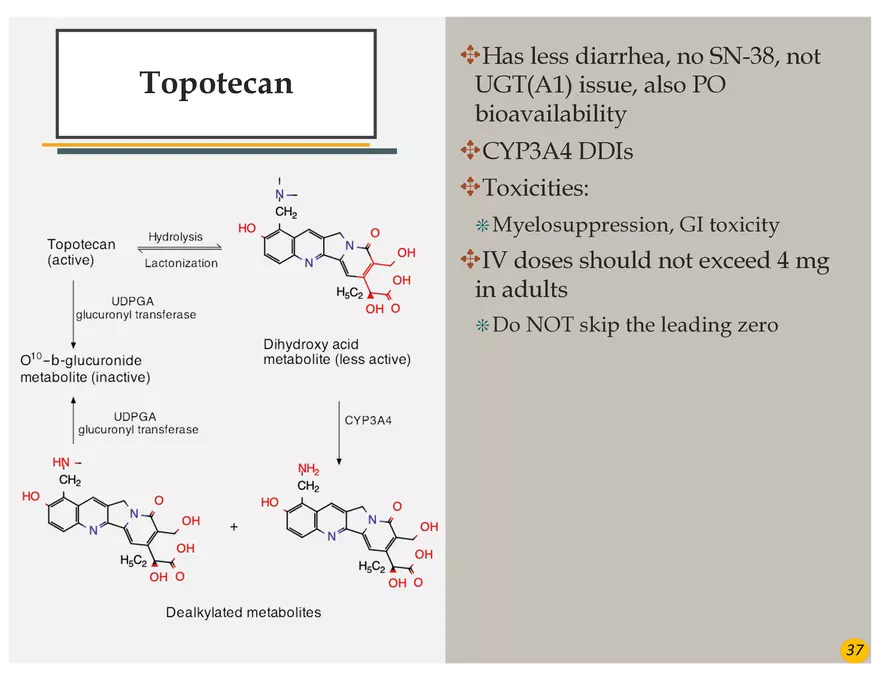 Colorectal Cancers Study Presentation - Page 28