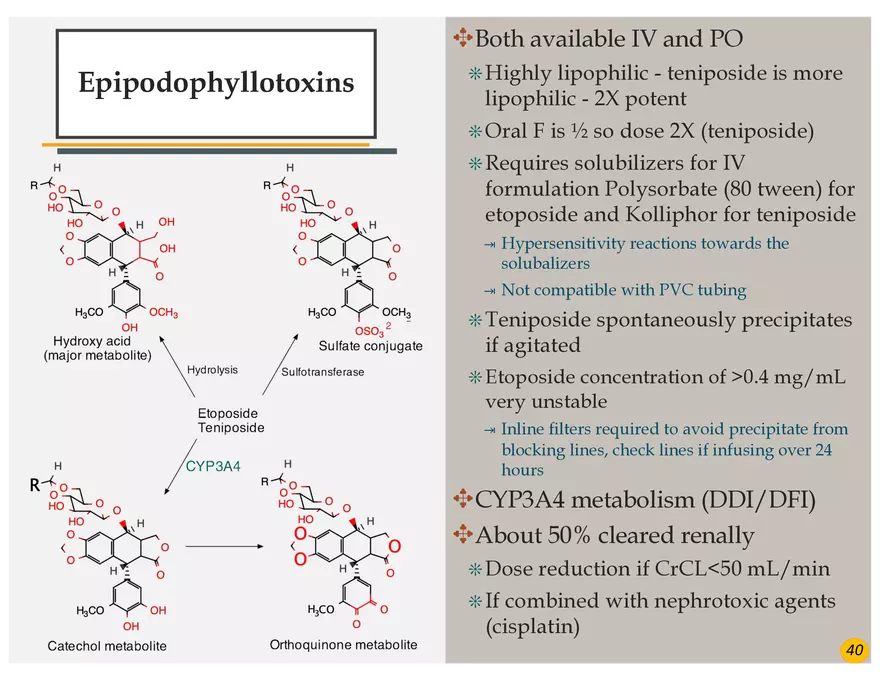 Colorectal Cancers Study Presentation - Page 31