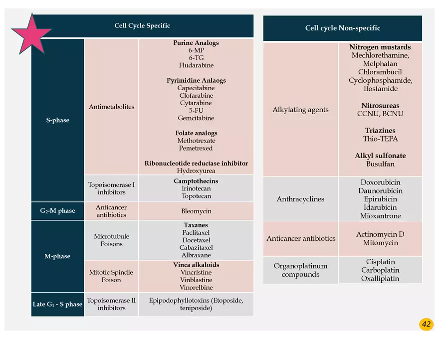 Colorectal Cancers Study Presentation - Page 33