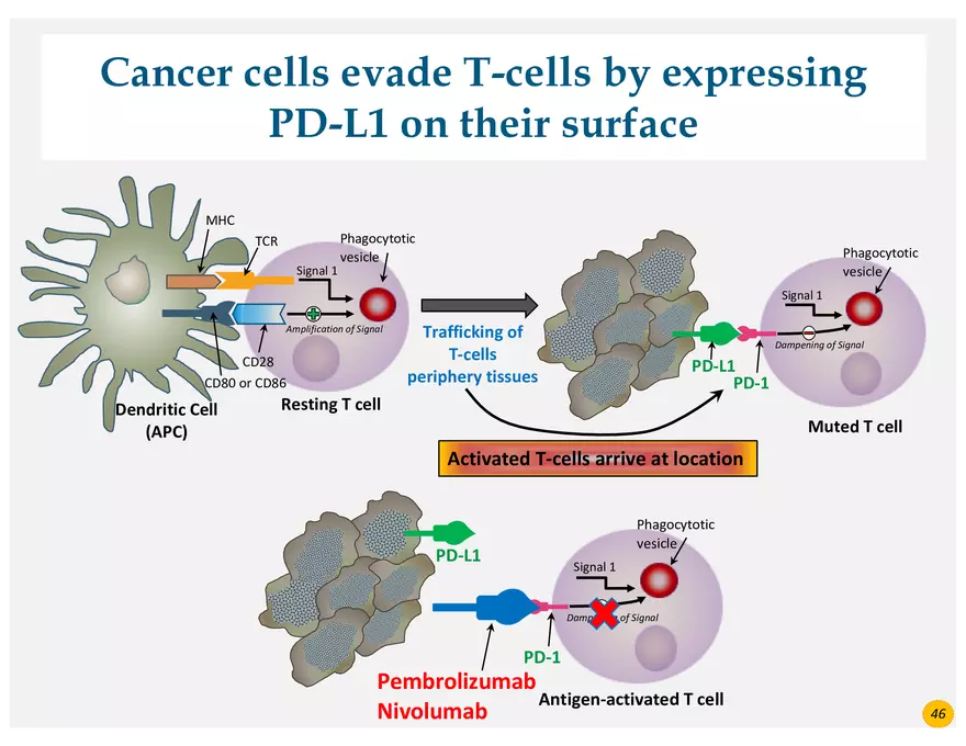 Colorectal Cancers Study Presentation - Page 38