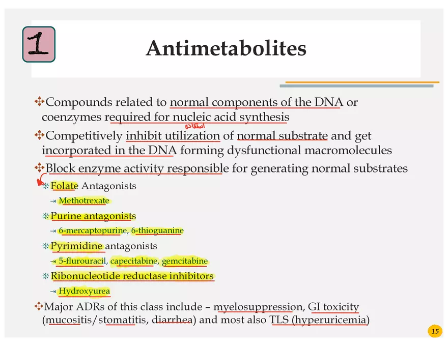 Colorectal Cancers Study Presentation - Page 3