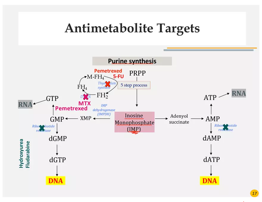 Colorectal Cancers Study Presentation - Page 5