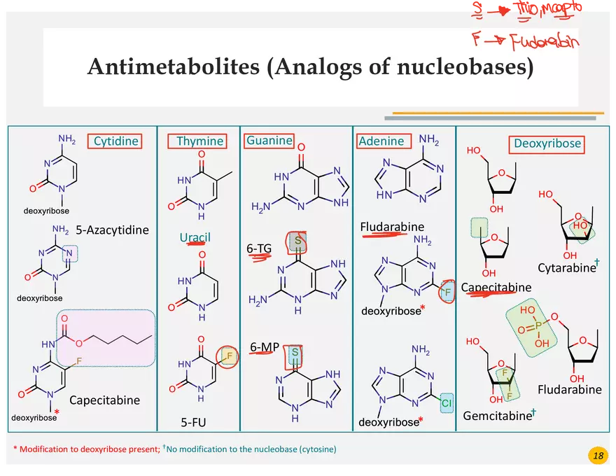 Colorectal Cancers Study Presentation - Page 6