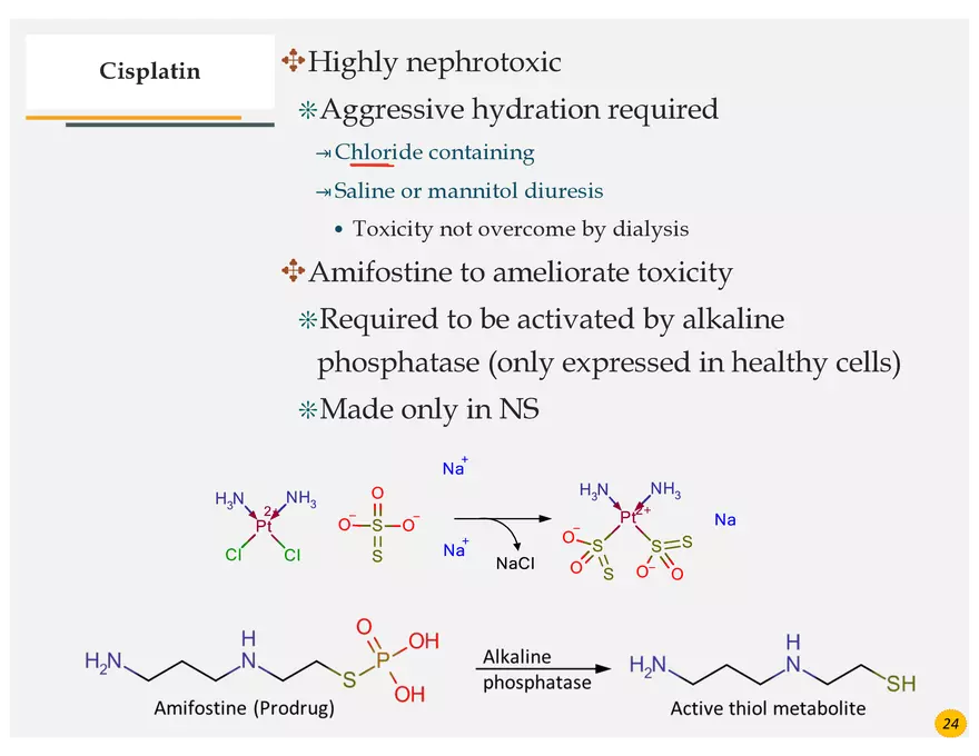 Lung Cancer Presentation - Page 9