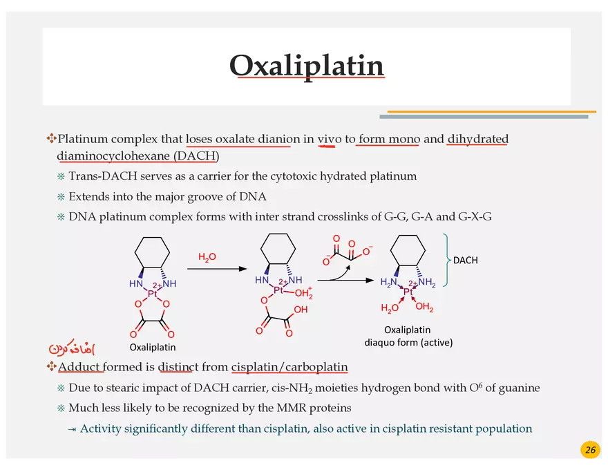 Lung Cancer Presentation - Page 11