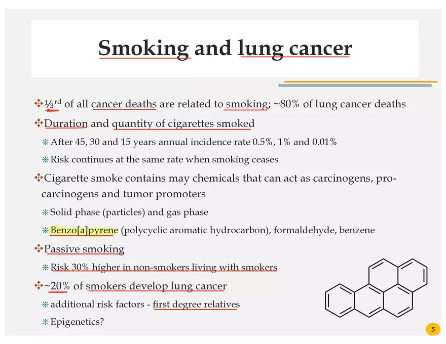 Lung Cancer Presentation - Page 13