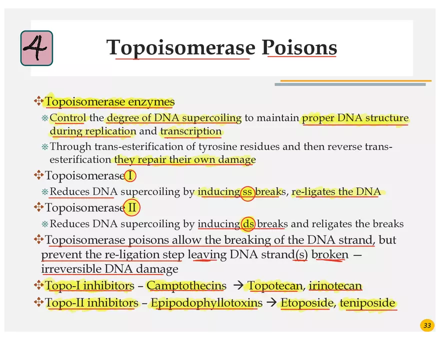 Lung Cancer Presentation - Page 19