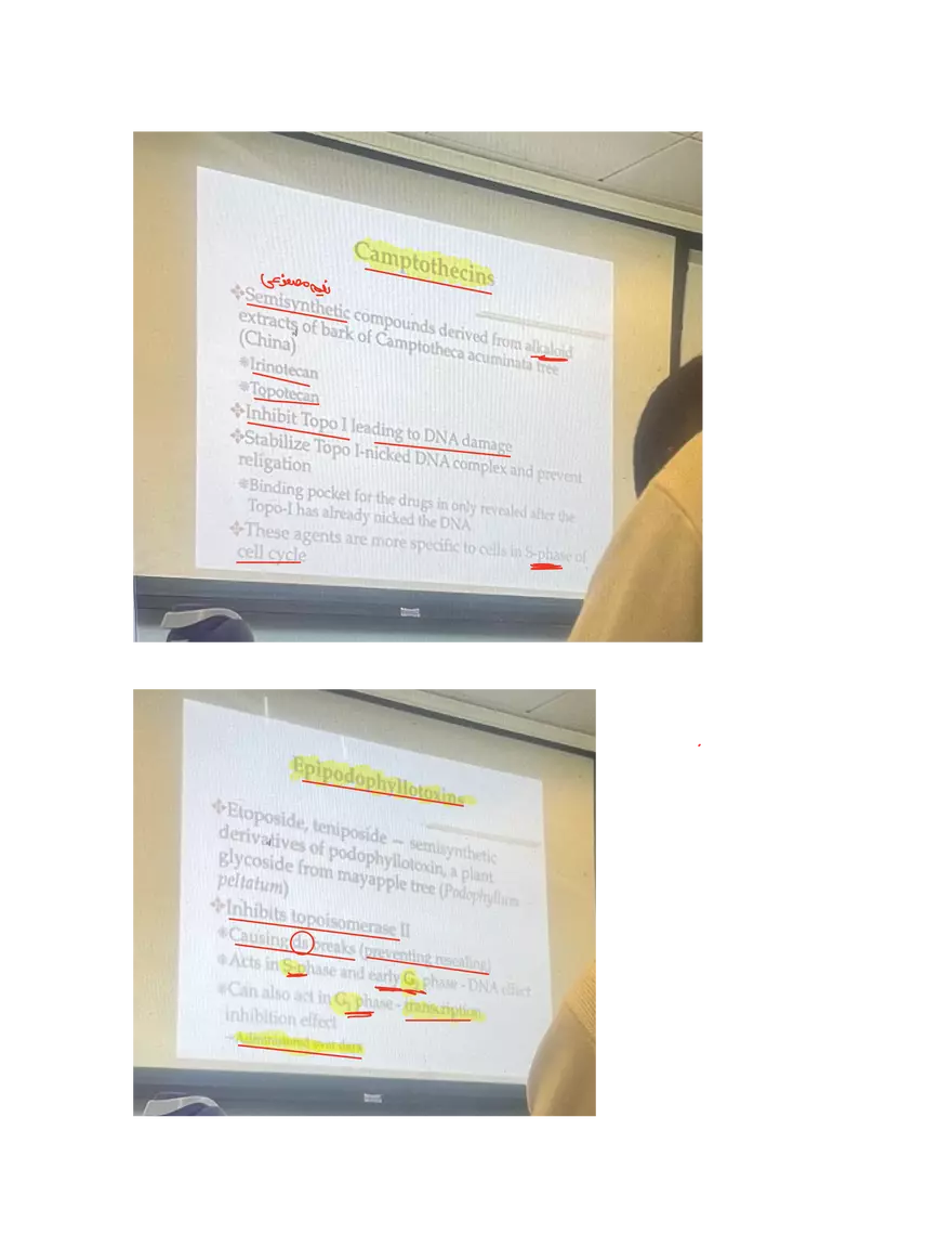 Lung Cancer Presentation - Page 20