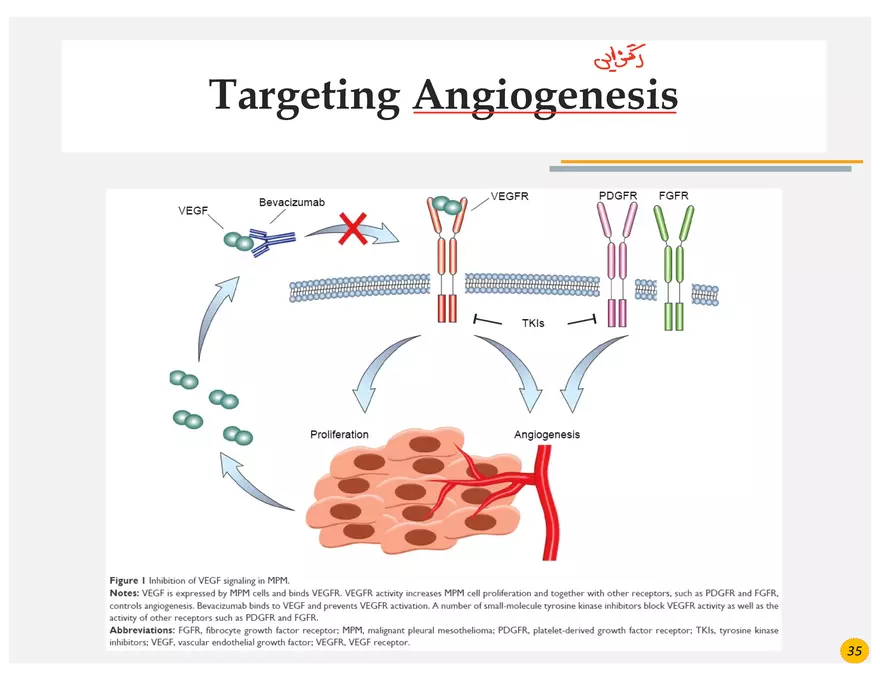 Lung Cancer Presentation - Page 21