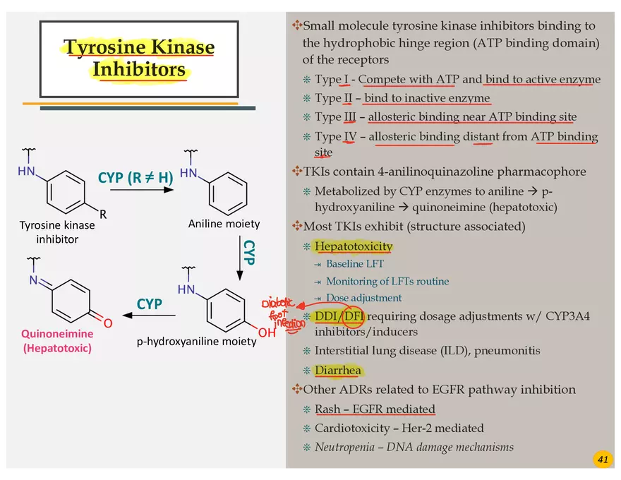 Lung Cancer Presentation - Page 28