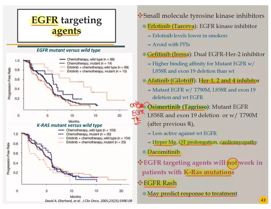 Lung Cancer Presentation - Page 30