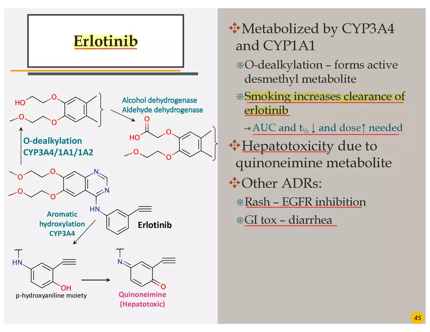 Lung Cancer Presentation - Page 32
