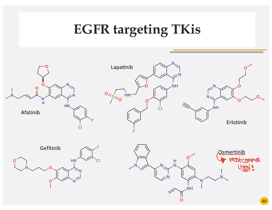 Lung Cancer Presentation - Page 33