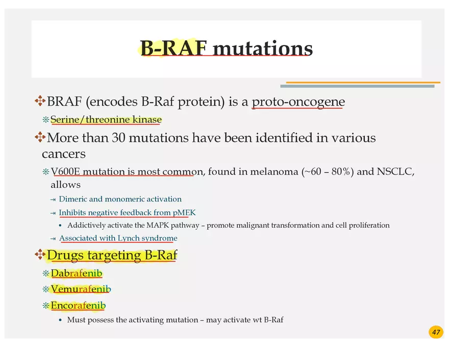 Lung Cancer Presentation - Page 34