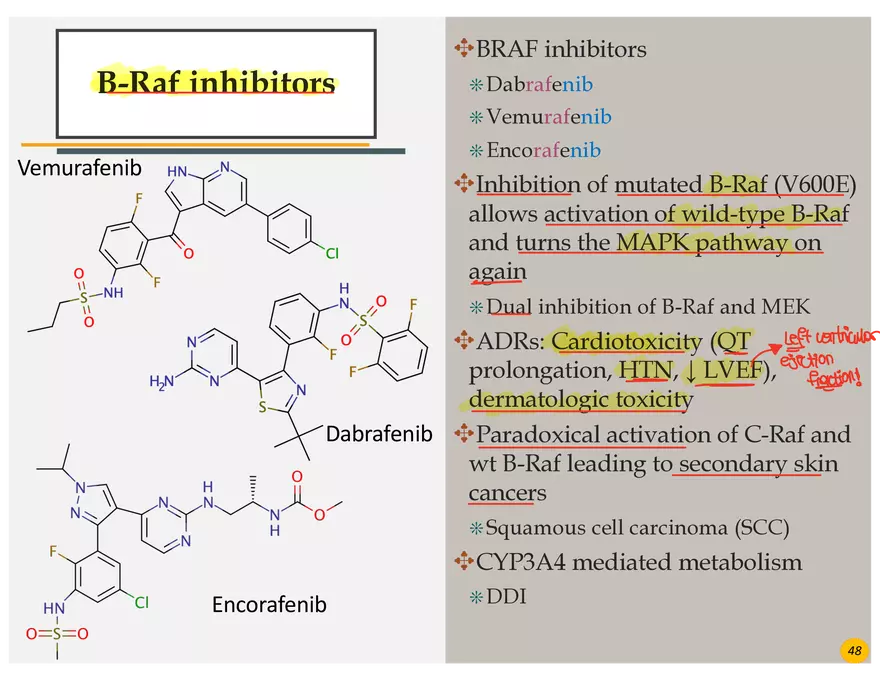 Lung Cancer Presentation - Page 36