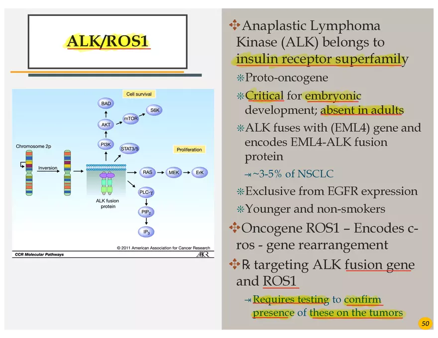 Lung Cancer Presentation - Page 38