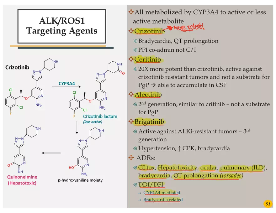Lung Cancer Presentation - Page 39