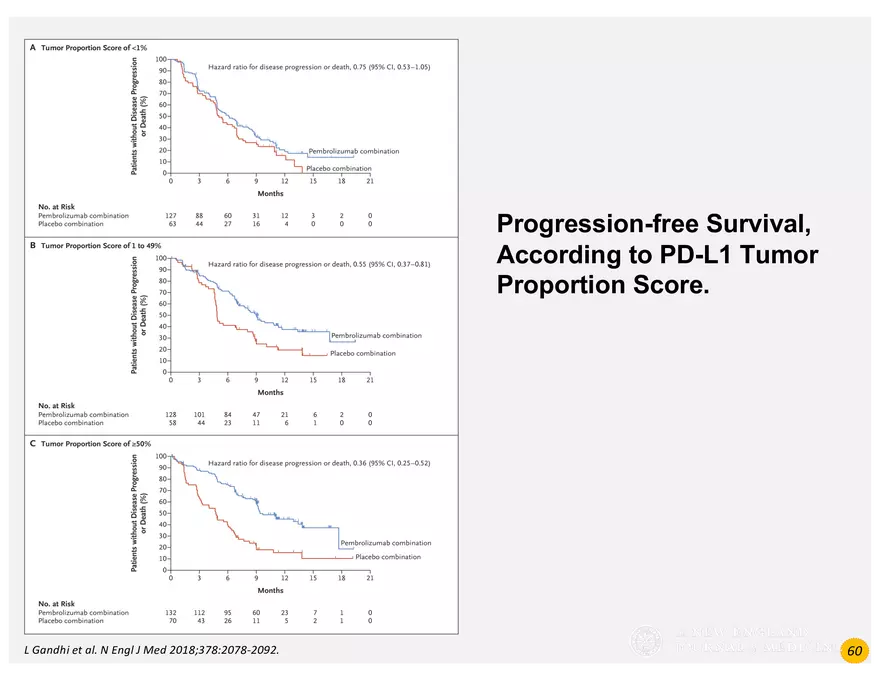 Lung Cancer Presentation - Page 41