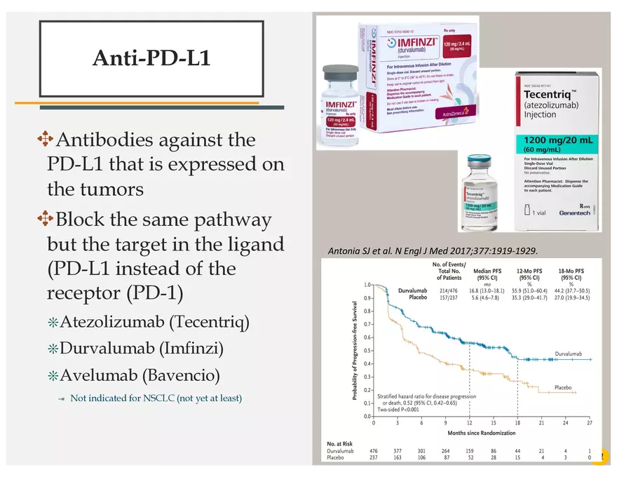 Lung Cancer Presentation - Page 42