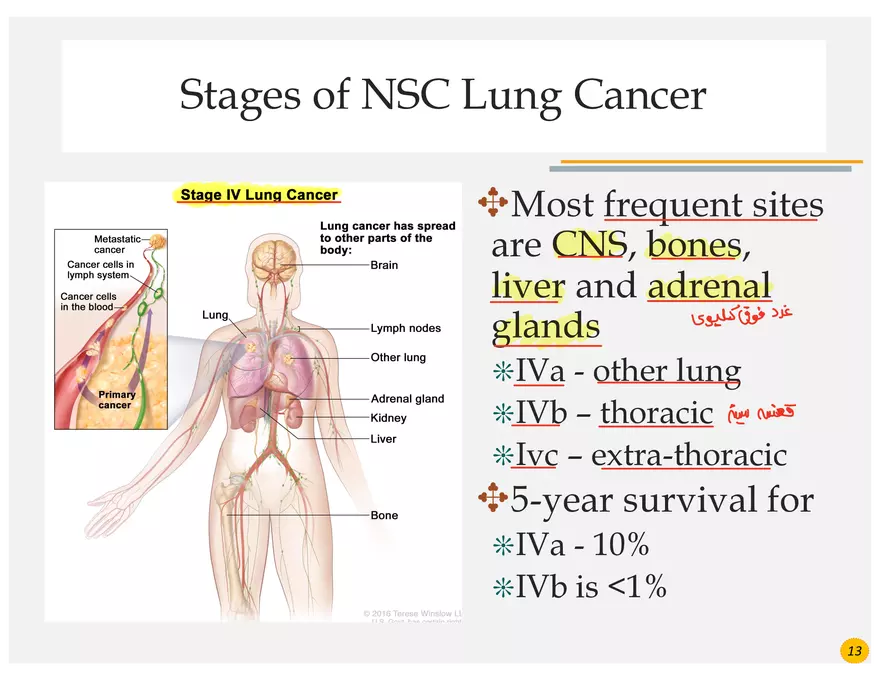 Lung Cancer Presentation - Page 46
