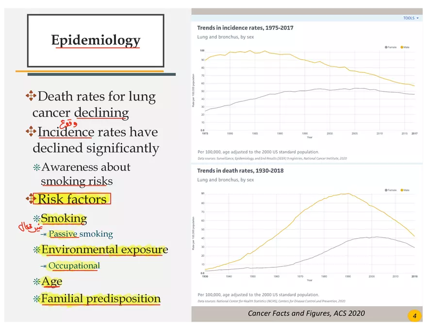 Lung Cancer Presentation - Page 2