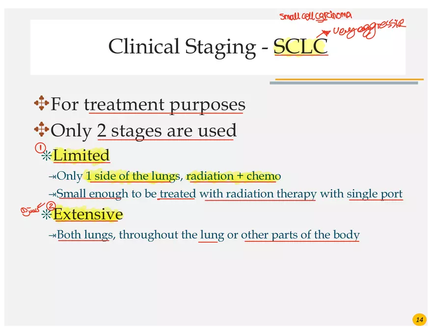 Lung Cancer Presentation - Page 47