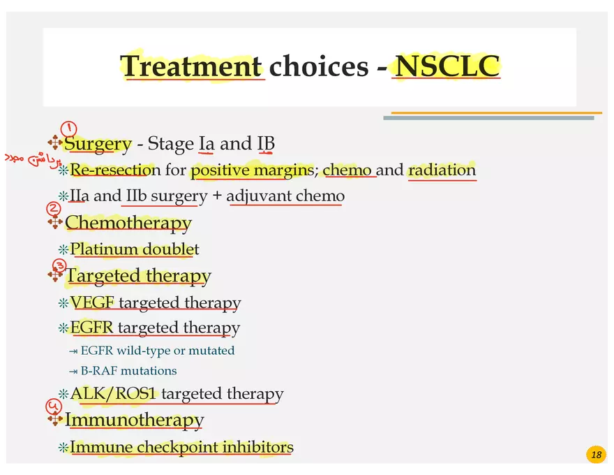 Lung Cancer Presentation - Page 3