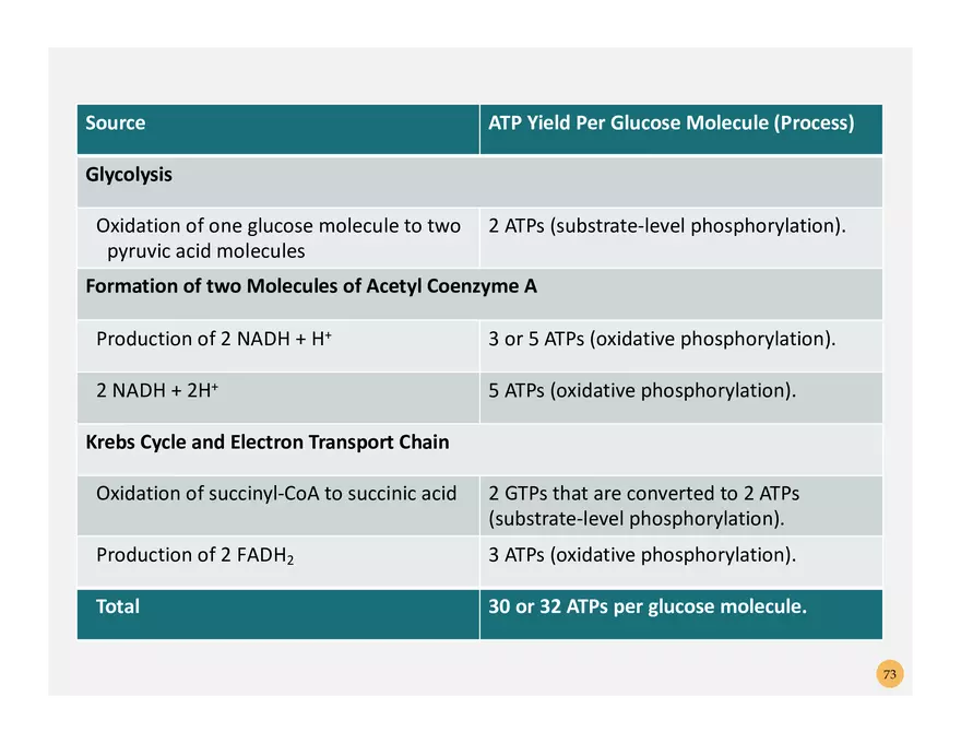 Pathophysiology: Cachexia - Page 11
