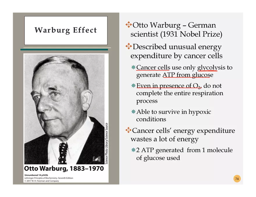 Pathophysiology: Cachexia - Page 12