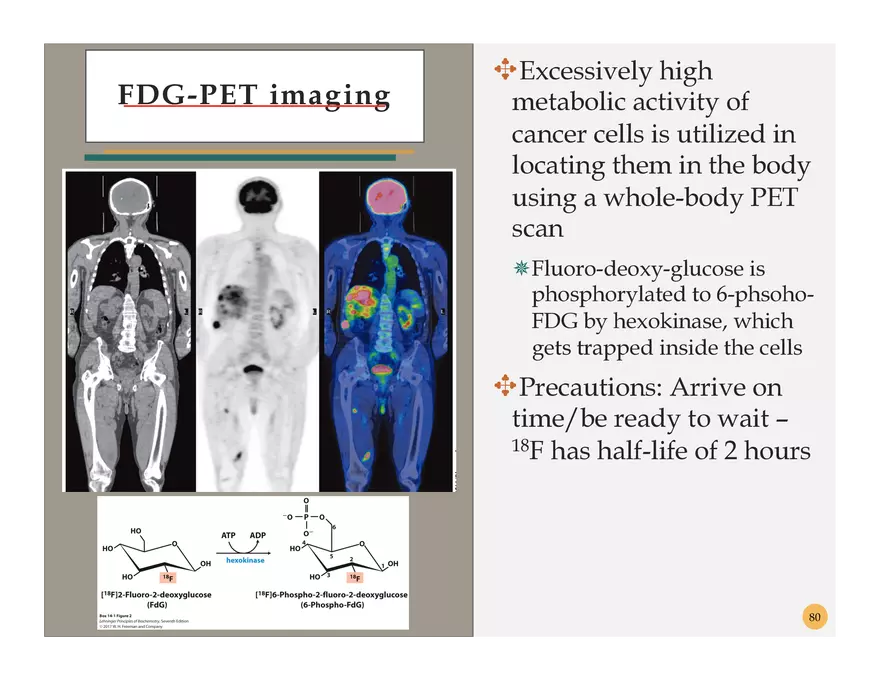 Pathophysiology: Cachexia - Page 6