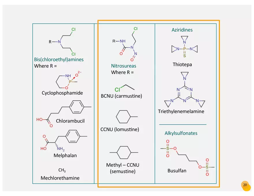 Skin Cancers Study Notes - Page 7