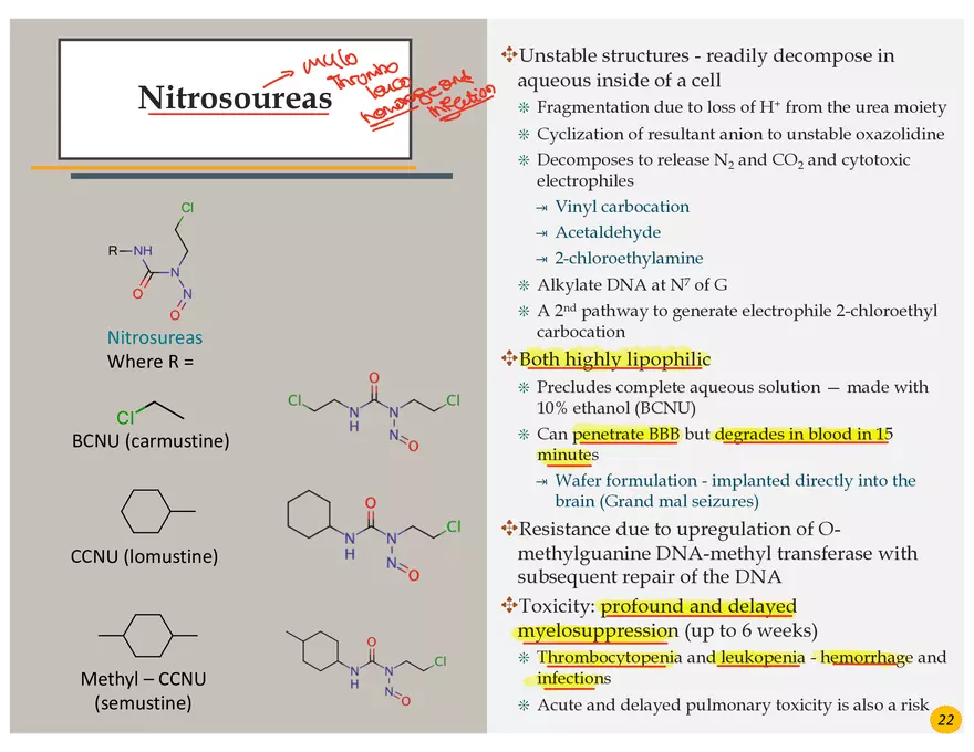 Skin Cancers Study Notes - Page 9