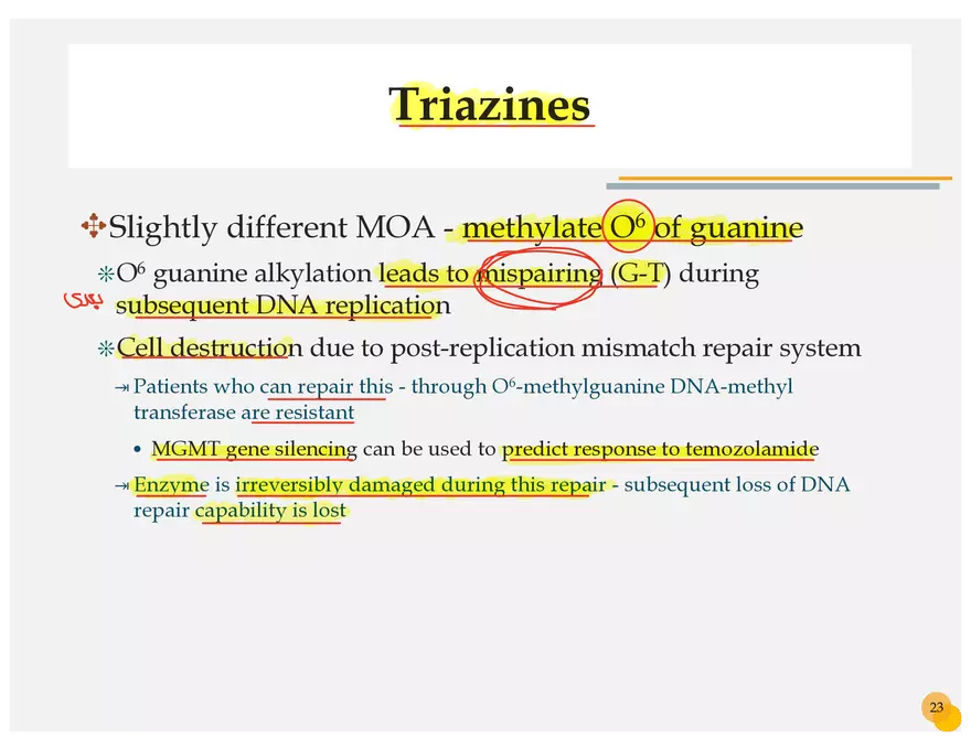 Skin Cancers Study Notes - Page 10
