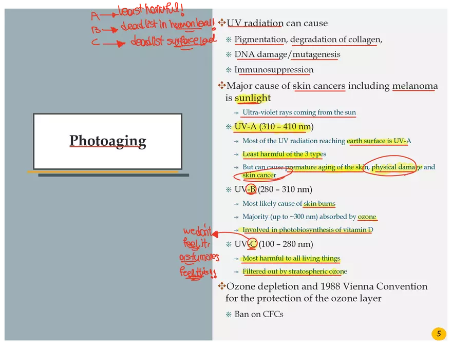 Skin Cancers Study Notes - Page 13