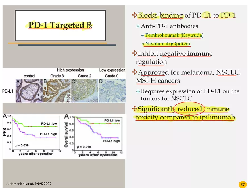 Skin Cancers Study Notes - Page 25