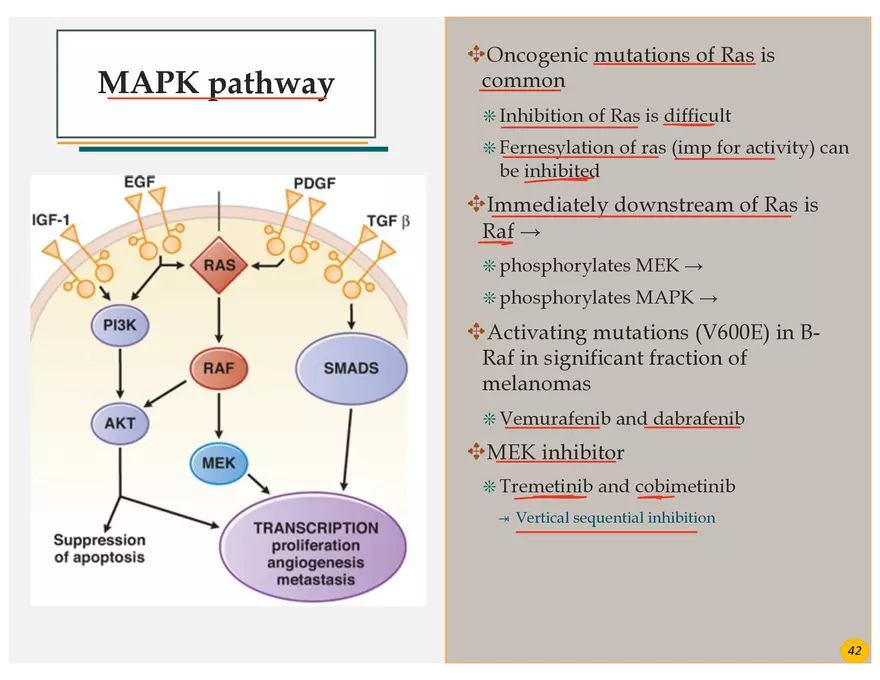 Skin Cancers Study Notes - Page 30