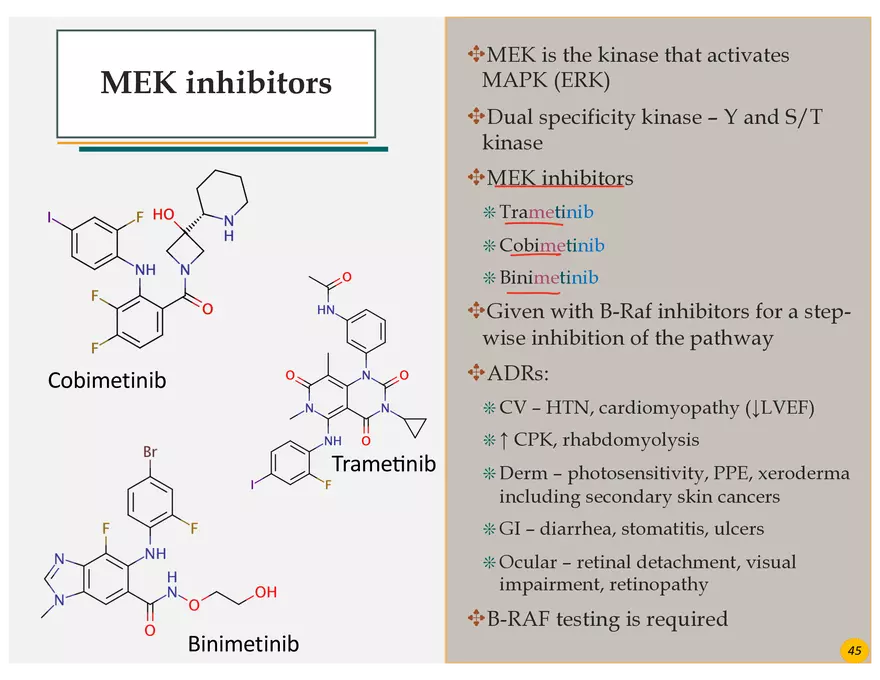 Skin Cancers Study Notes - Page 33