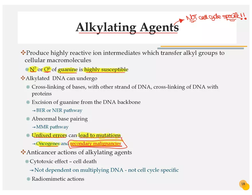 Skin Cancers Study Notes - Page 5