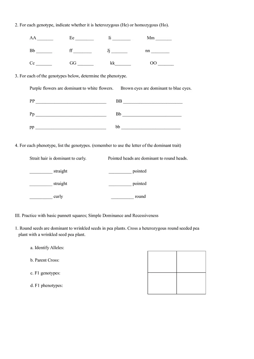 Mendel Packet - Genes - Page 2