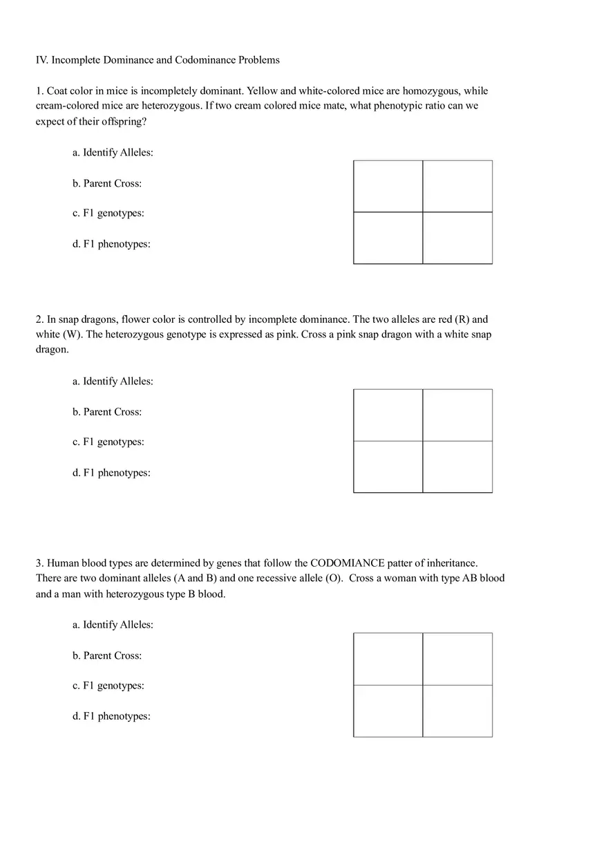 Mendel Packet - Genes - Page 4