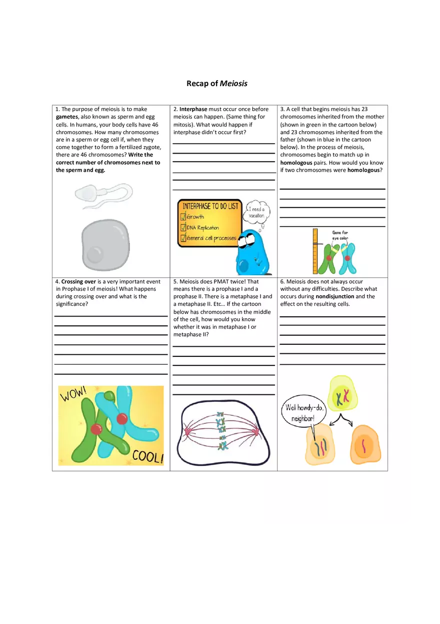 Recap of Meiosis - Page 1