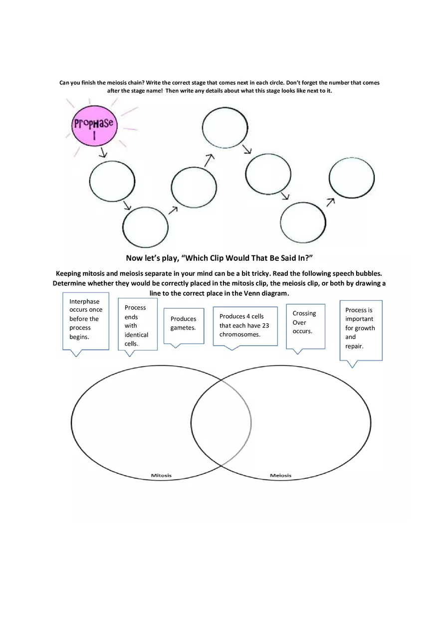 Recap of Meiosis - Page 2