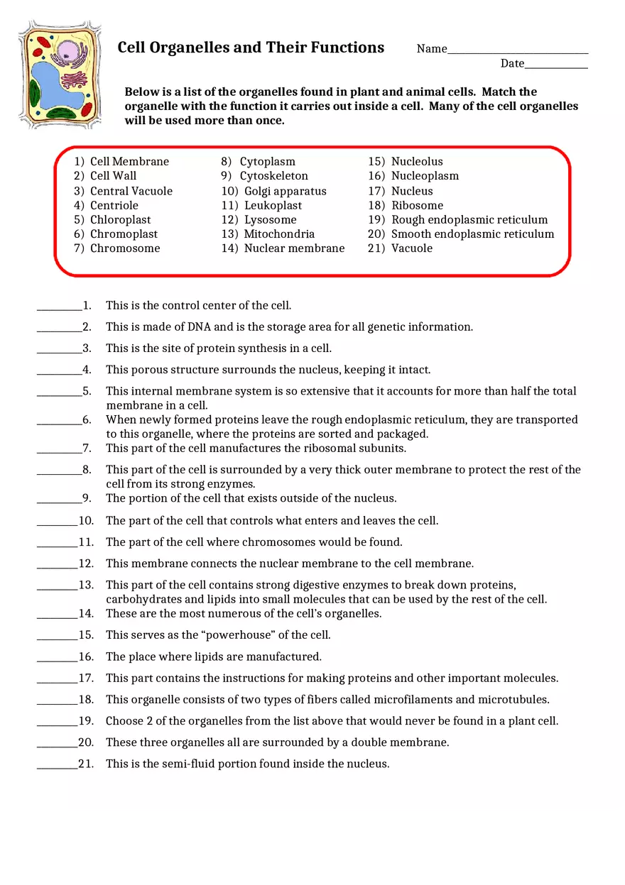 Cell Organelles and Their Functions - Page 1