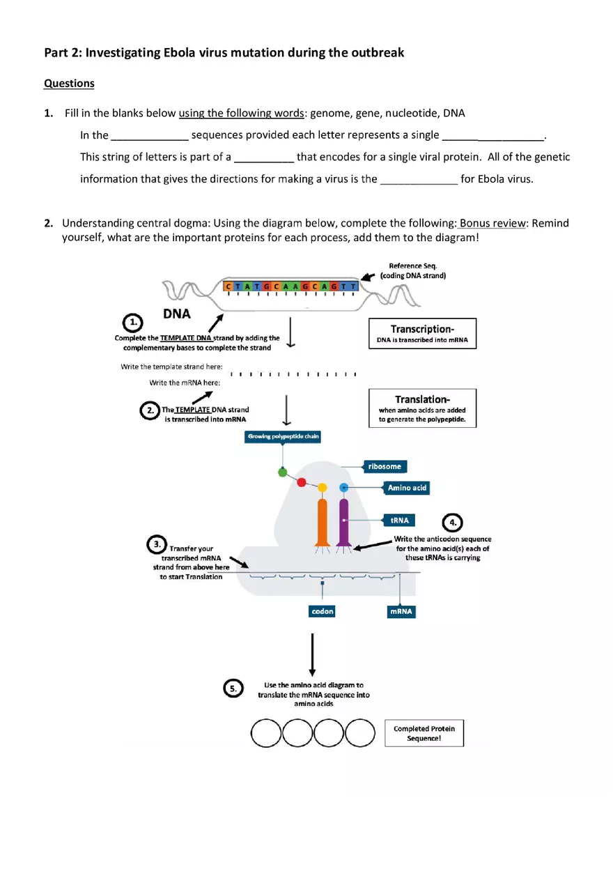 Ebola Disease Detective - Page 3