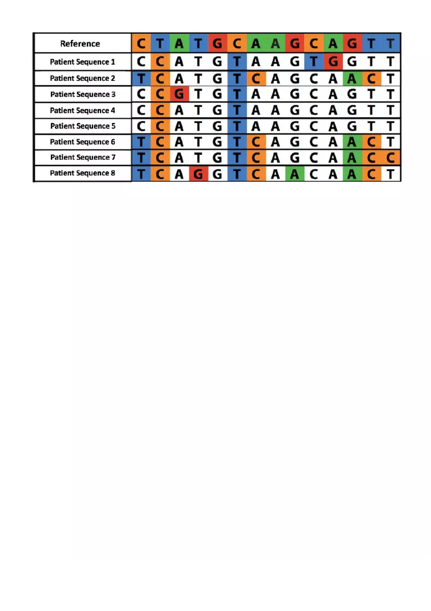 Ebola Disease Detective - Page 5