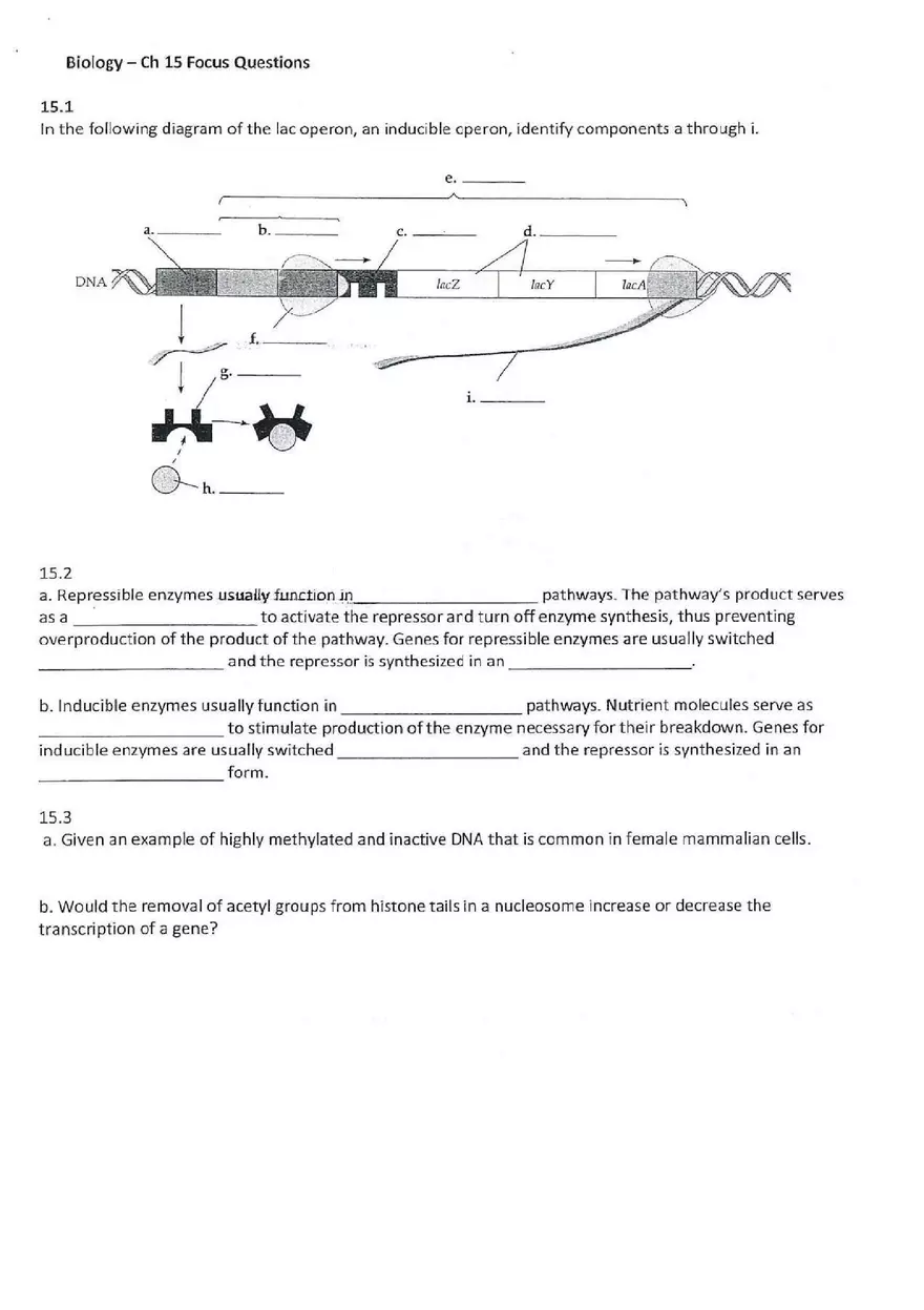 Chapter 15 Regulation of Gene Expression - Page 1